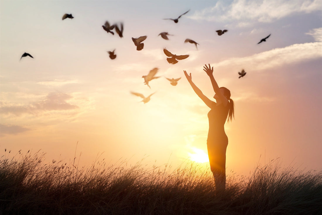 Forgiveness: The Pathway to Clarity and Peace of Mind