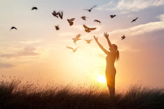 Forgiveness: The Pathway to Clarity and Peace of Mind