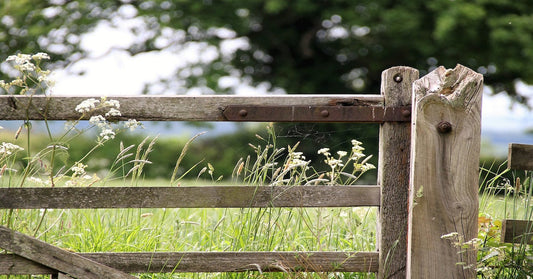 The Vital Role of Setting Boundaries for Mental Health